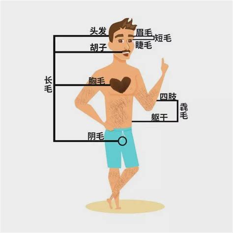 突然長一根 很 長的白毛|身上有一根毛特別長，是長壽象徵，還是癌變前兆？